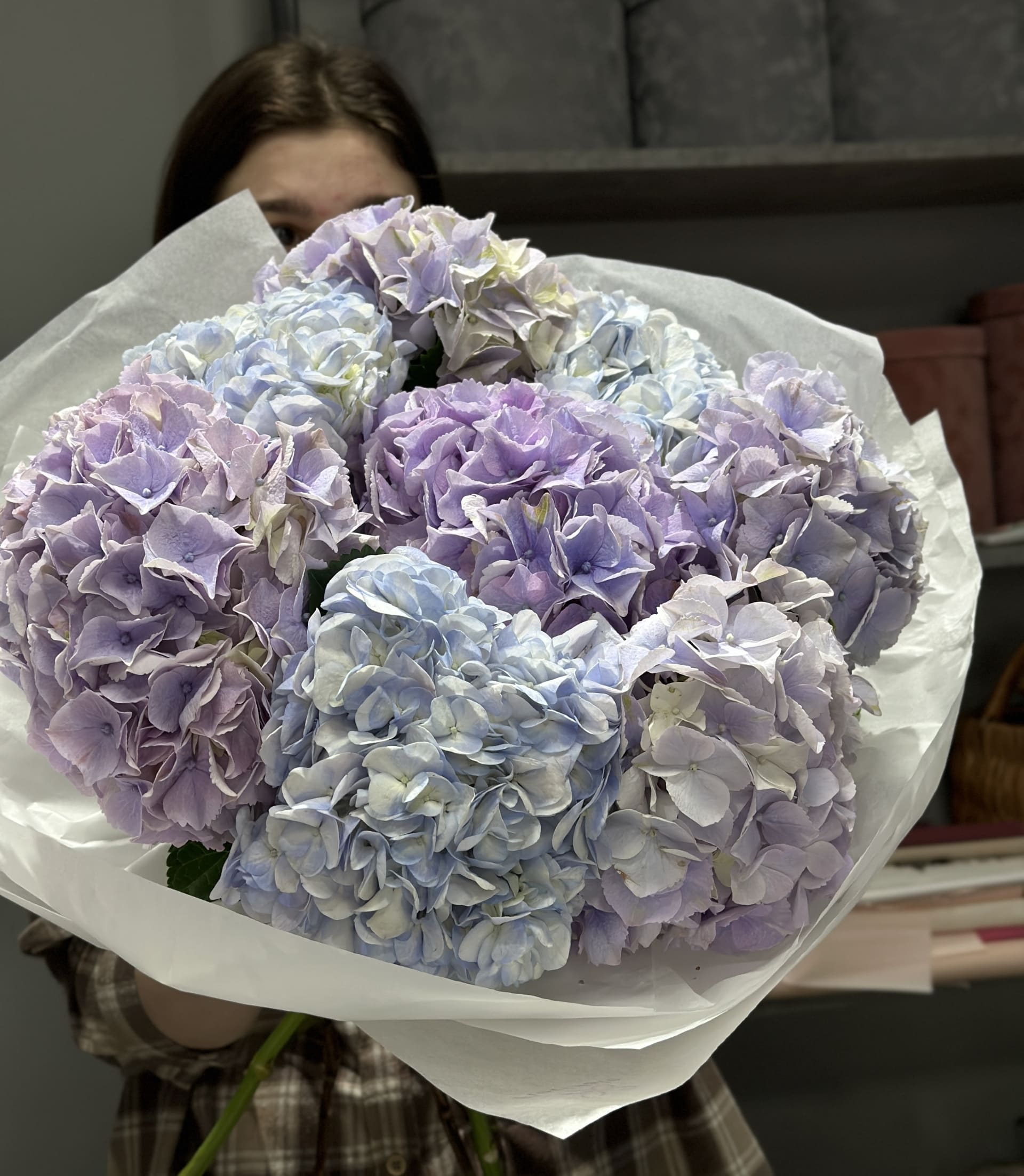 Букет гортензий Симфония: мелодия чувств buket-gortenziy-simfoniya:-melodiya-chuvstv