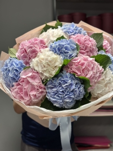 Букет гортензий Мистери: мечта каждой девушки buket-gortenziy-misteri:-mechta-kazhdoy-devushki